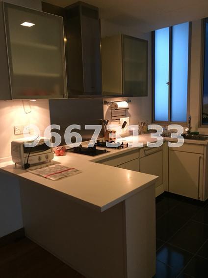 Cairnhill Crest (D9), Condominium #117874742